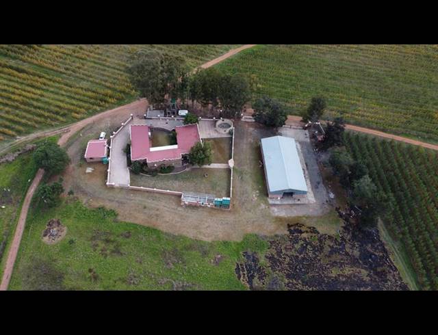 FARM FOR SALE IN JOUBERTINA RURAL
